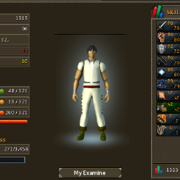 47M Bank Wealth | Easter Ring | Rubber Chicken | 99 Woodcutting | 1515 Total | 111 QP | 15 Year Veteran | Snow Globe | 3 0